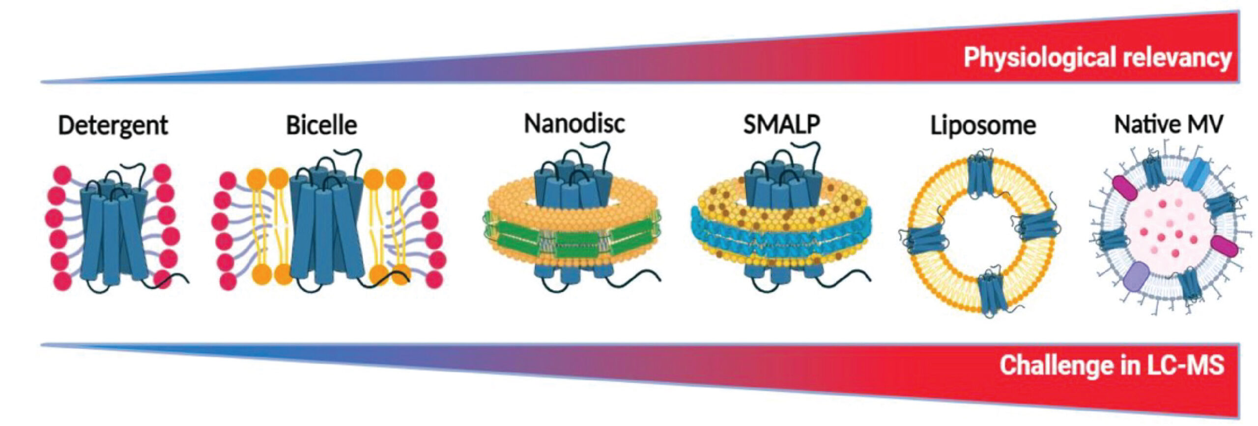 Fig8 research scaled