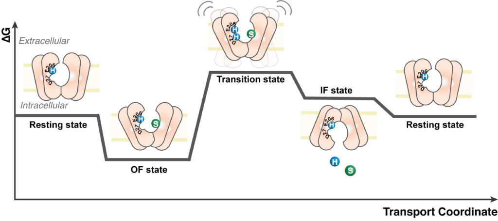 Figure5b projects scaled