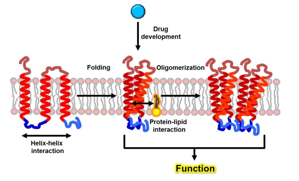 Στιγμιότυπο οθόνης 2025 05 16 153844